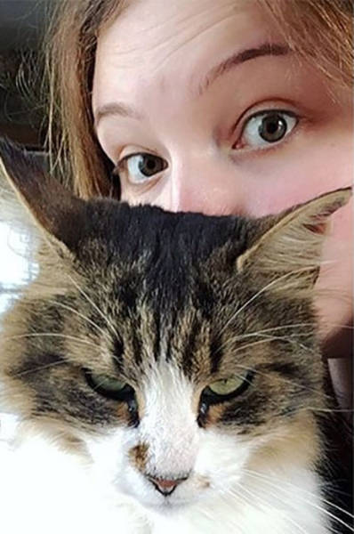 Cats Simply Hate Those Pathetic Selfies