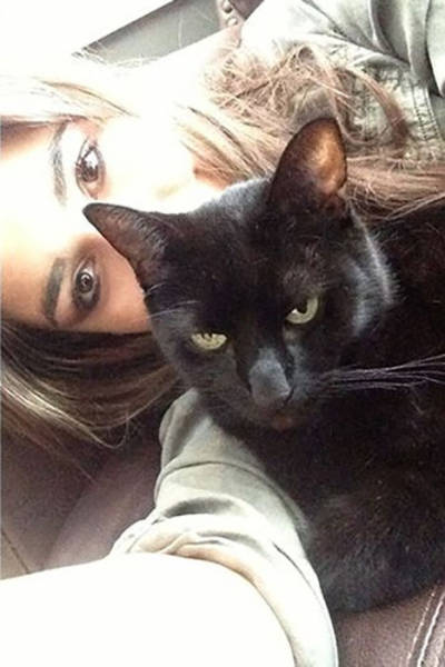 Cats Simply Hate Those Pathetic Selfies