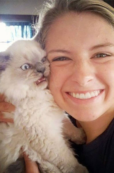 Cats Simply Hate Those Pathetic Selfies