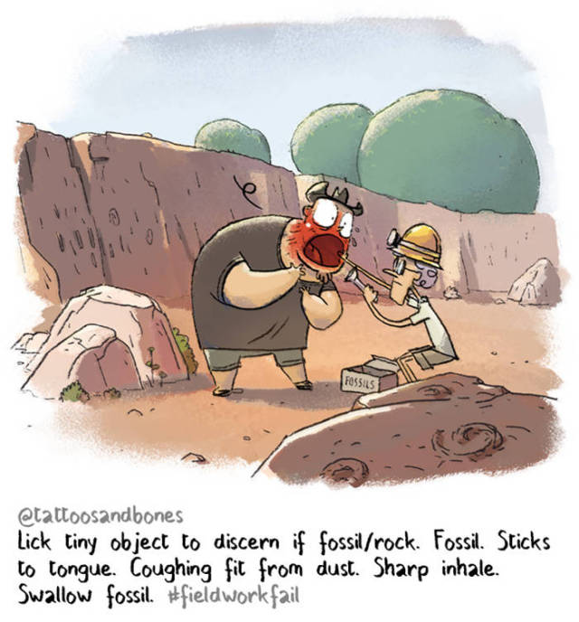 Scientific Fieldwork Is Not Always Successful – As These Funny Comics Display