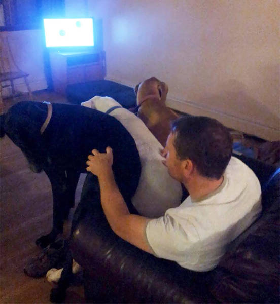 Nothing Will Stop These Giants From Believing They Still Can Be Lap Dogs!