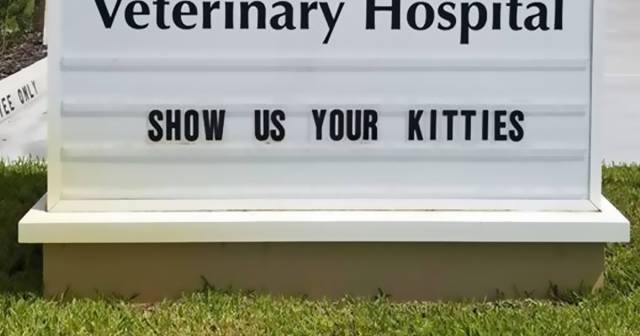 These Vets Surely Have A Good Sense Of Humor