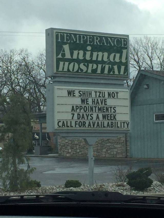 These Vets Surely Have A Good Sense Of Humor