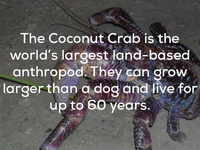 Try Not To Get Freaked Out By These Creepy Facts