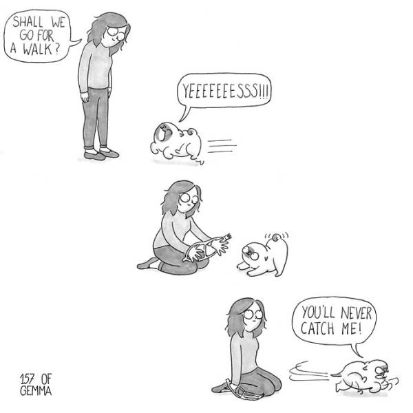 These Comics Show The Real Life With A Dog