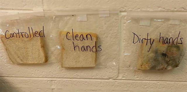 Here’s How You Show Your Children Why It’s A Must To Wash Your Hands