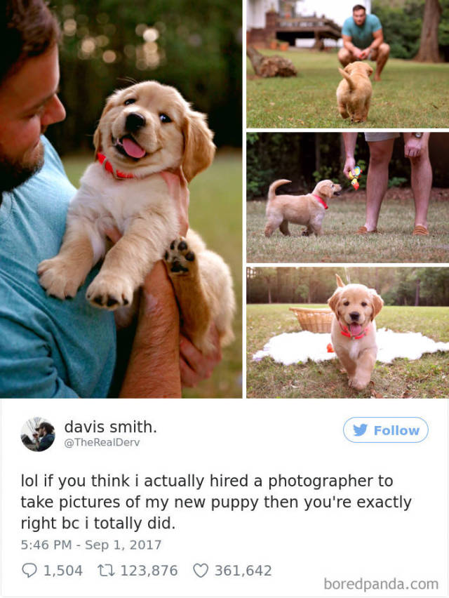 These Dogs Will Make You Envy Them