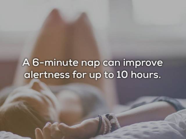 Take A Nap Right After You Read Through These Facts