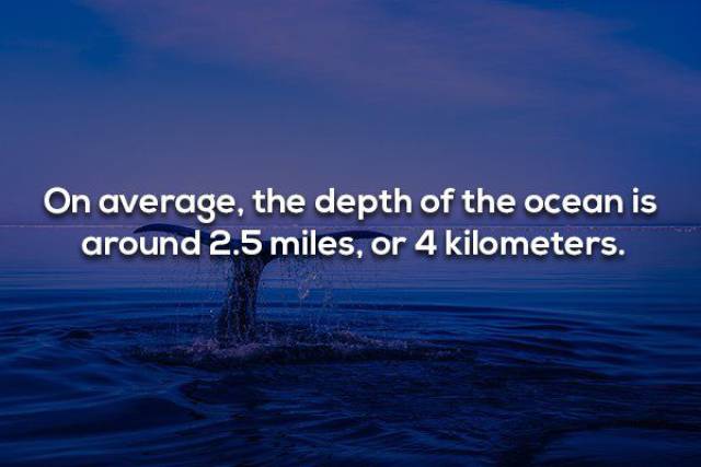 The Vast Ocean Of Nautical Facts