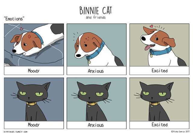 Cats And Dogs Are Like Perfect Opposites To Each Other