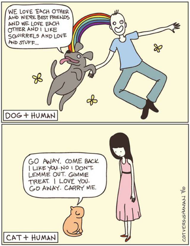 Cats And Dogs Are Like Perfect Opposites To Each Other