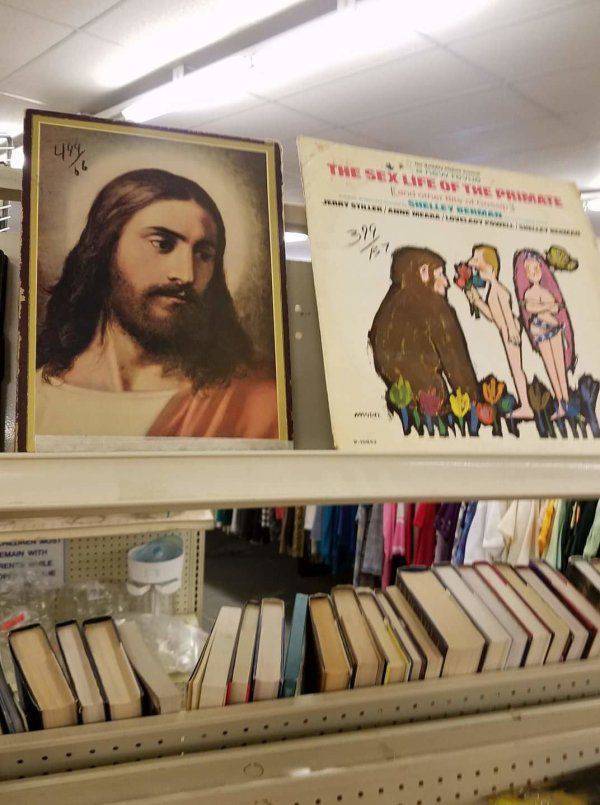 In Thrift Shops There’s Always Something Strange Hiding In The Shadows