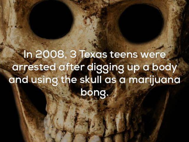 Facts That Are Beyond Terrifying