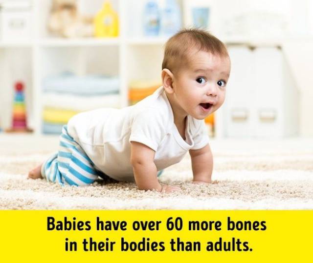 It Will Be Hard To Believe That These Facts Are About Our Own Bodies