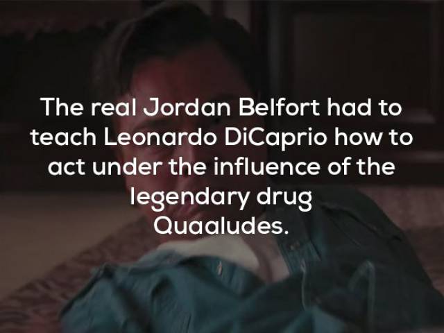 “Wolf Of Wall Street” Had All The Financing For These Facts
