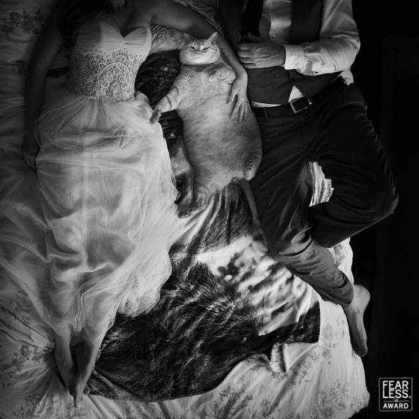 Fearless Awards Have Picked The Best Wedding Photos Of 2017 And They Are Stunning!