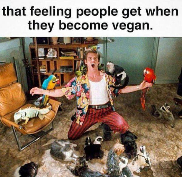 Memes That Are For Vegans ONLY!