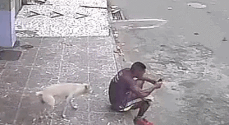 The Dog Had Mistaken A Man For A Fire Hydrant And Got Some Unsuspected Results