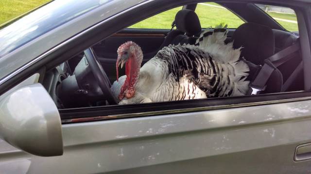 Even Authors Of These Real-Life Stories Can’t Believe This Happened To Them