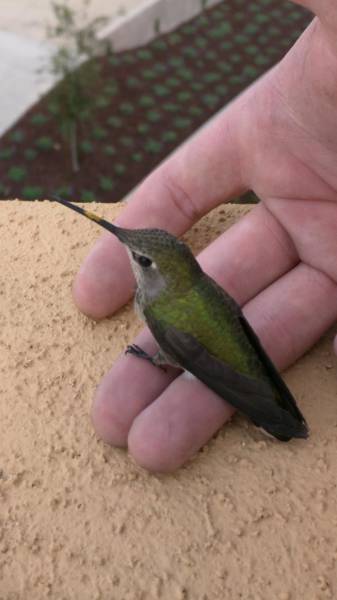 Even Authors Of These Real-Life Stories Can’t Believe This Happened To Them