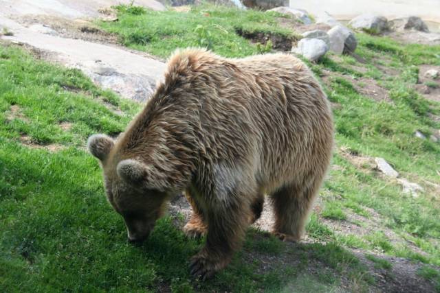 Even Authors Of These Real-Life Stories Can’t Believe This Happened To Them