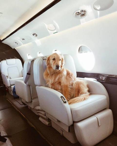 In Russia, You Can Now Rent A Private Jet Just To Take Luxurious Photos With It