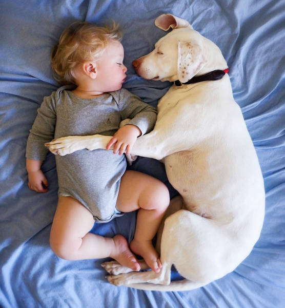 The Only Human This Abused Dog Agrees To Have Contact With Is This Little Child