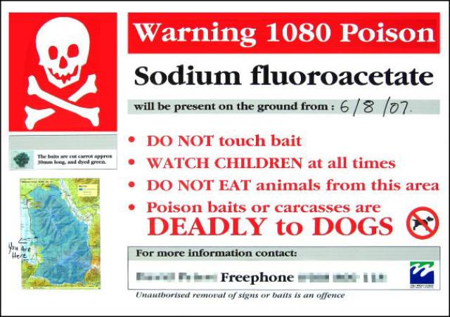 Here Are The World’s Most Potent Poisons