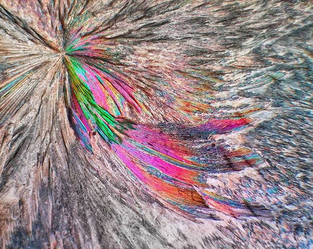 Microscope Shows Us A Completely Different World