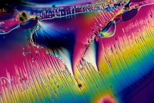 Microscope Shows Us A Completely Different World