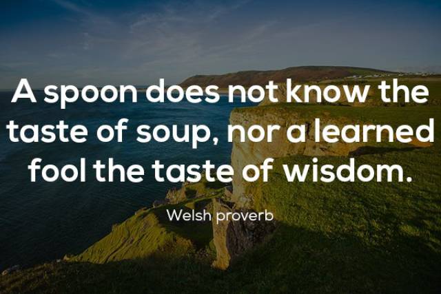 Proverbs Have All The Humanity’s Wisdom In Them