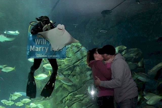 Marriage Proposals Aren’t Always Successful…