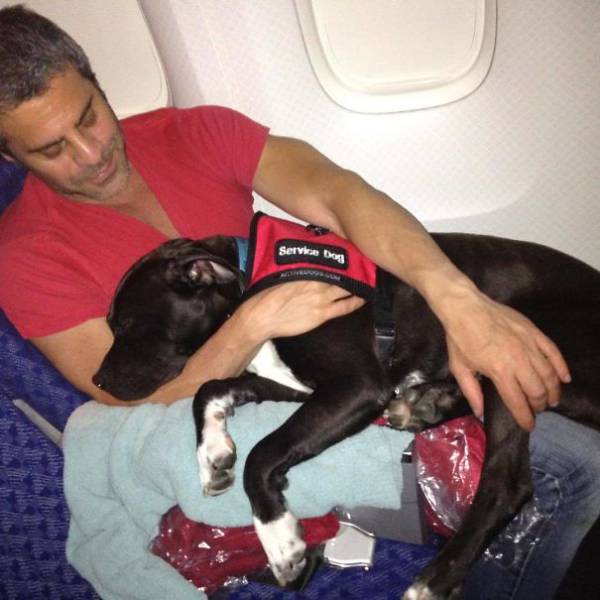 These Are The Best Airplane Passengers