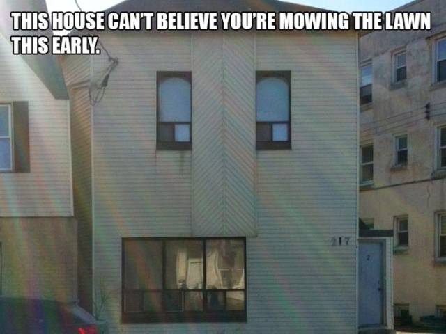 Houses That Are In Complete Disbelief