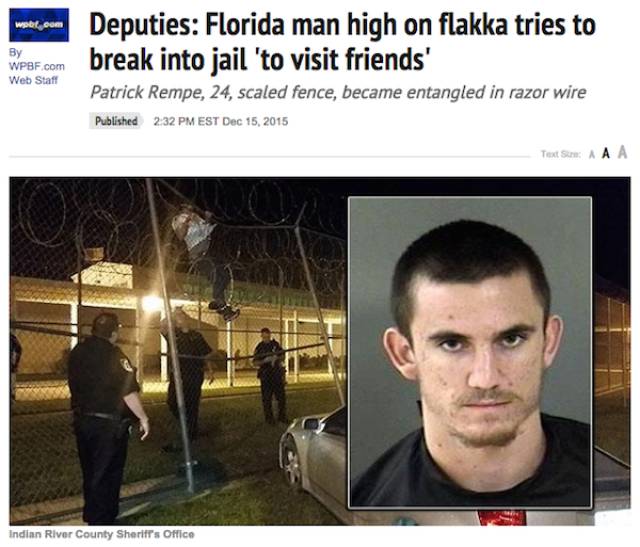 Something Very Strange Is Going On In Florida