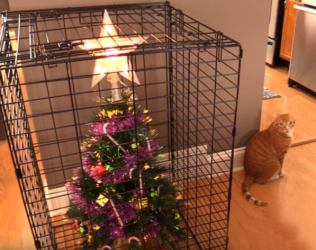 How To Save Your Christmas From Your Own Pets