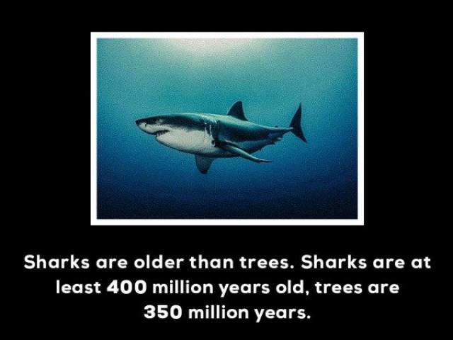 These Facts Are Impossible To Believe, But Still True