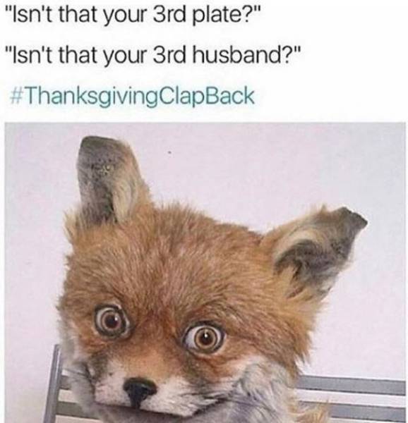 Thanksgiving Is Coming!