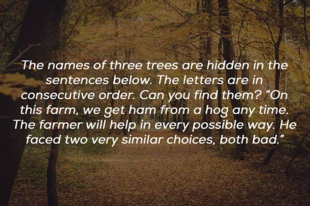 Riddles To Give Your Brain Something To Do