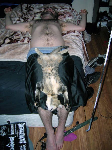 Be Careful, Or Your Pet Might Steal Your Partner!