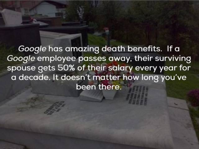 Google Facts That Google Knows About Itself
