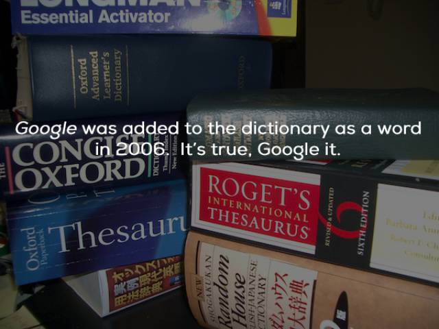 Google Facts That Google Knows About Itself