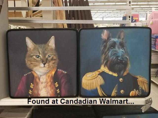 Everything Is Different In Canada