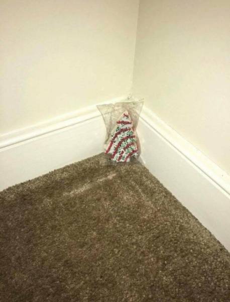 Christmas Is Almost Here!