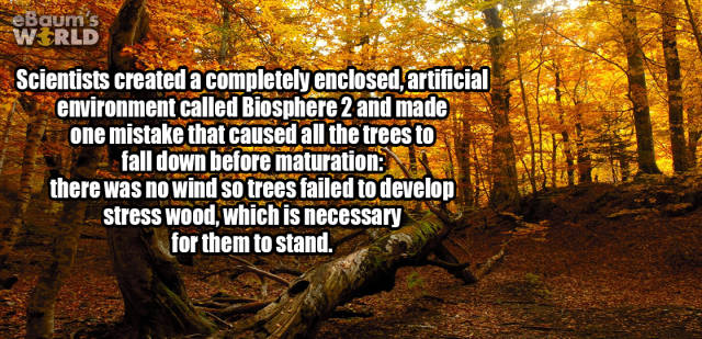 Facts To Heat Your Brain Up Facts To Heat Your Brain Up