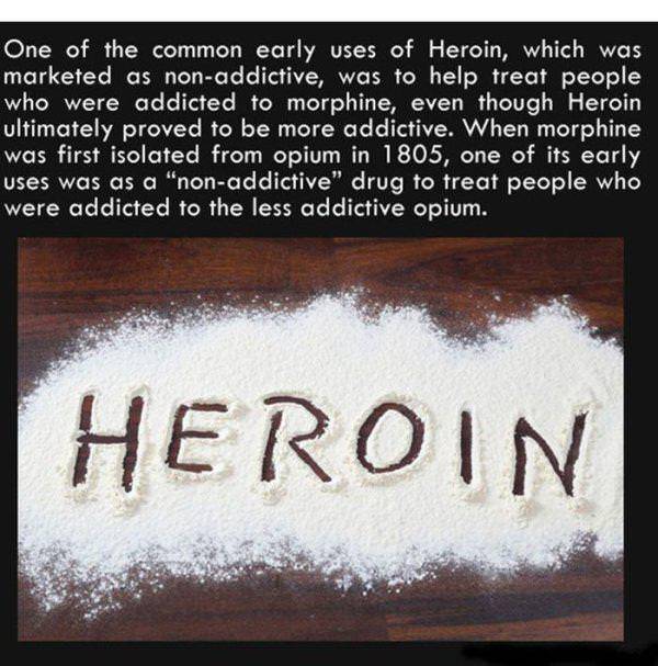 Facts To Heat Your Brain Up Facts To Heat Your Brain Up