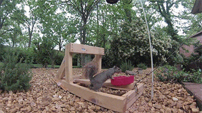 Expect The Unexpected With These Gifs