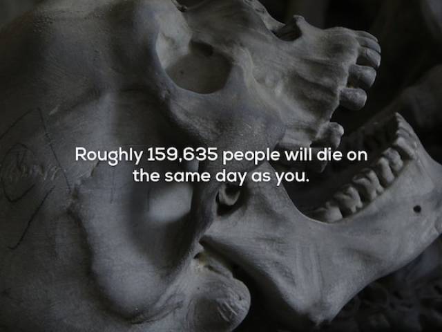 Facts That Are Unsettling More Than Conspiracy Theories