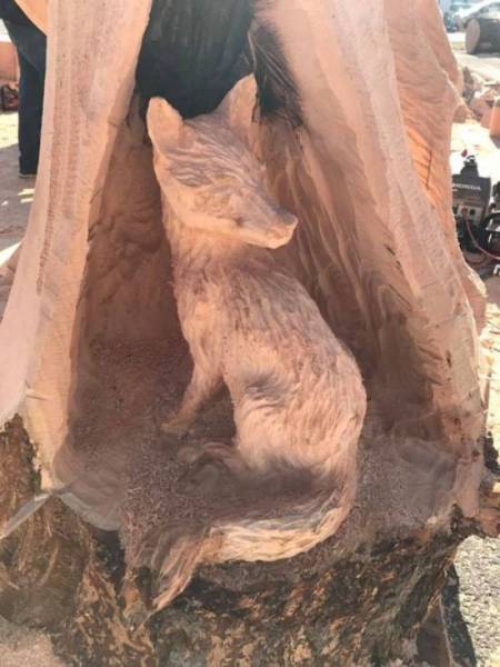 It’s Hard To Believe That This Was Carved From A Tree!