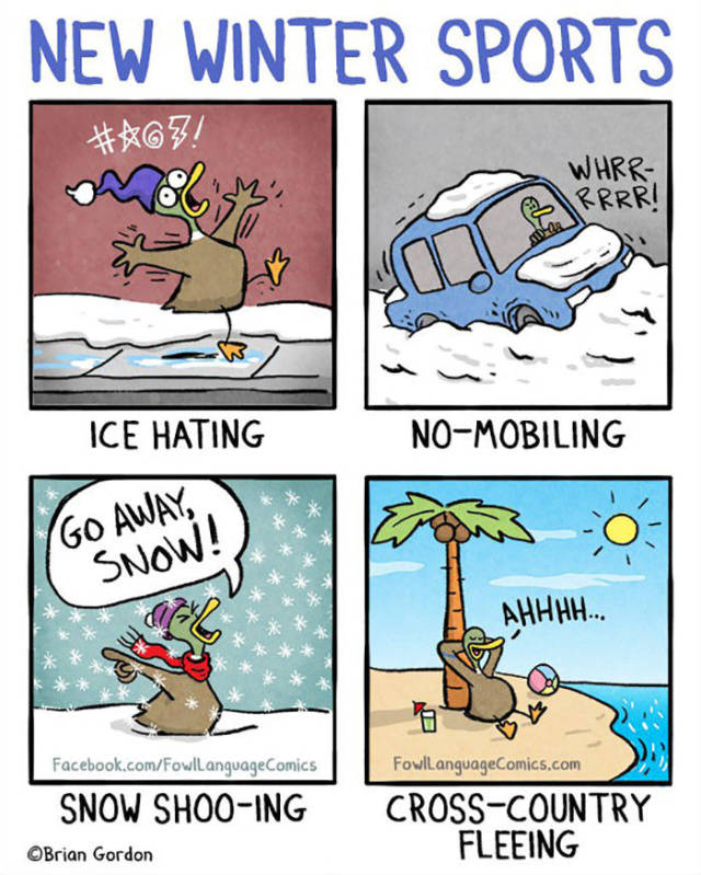 Winter Brings Lots Of Problems